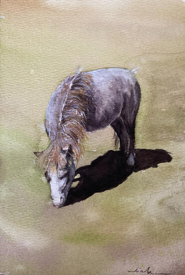 Little Horse, 6x9