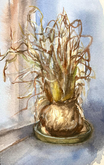 Onion on the Windowsill, 6x9