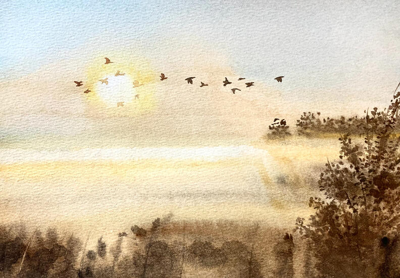 Misty Morning, 8x11